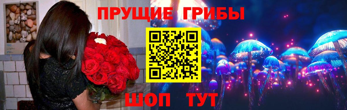 Галлюциногенные грибы Cubensis  Вход с VPN  Петровск 
